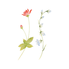 Spring Sprigs Tattoo