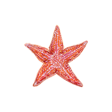 Starfish Tattoo